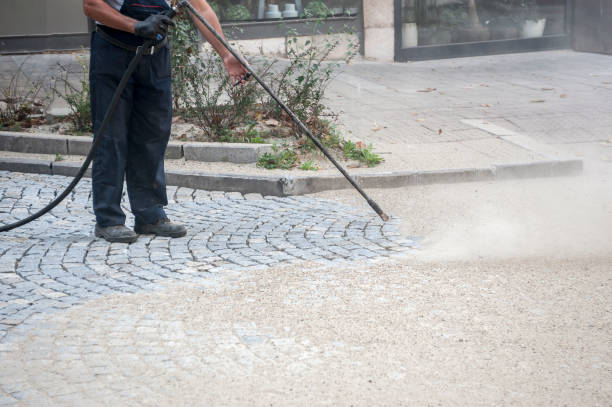 Best Pre-Holiday Cleaning  in Collegeville, PA